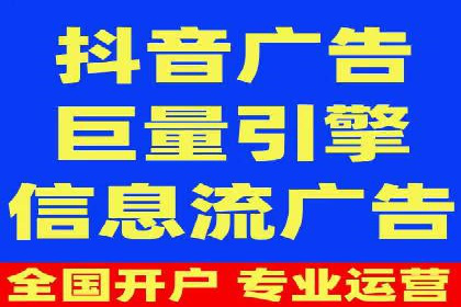 谷歌SEM案例研究：数据分析与效果评估