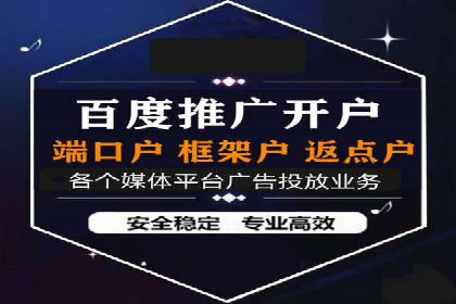 百度竞价包年推广策略深度解读与案例分析